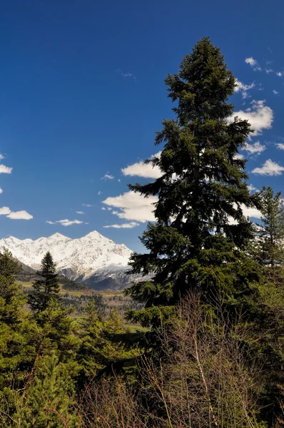 Montagne del Caucaso, Svaneti — Foto Stock