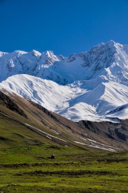 ushguli için Mestia