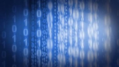 ikili kod içinde sinek