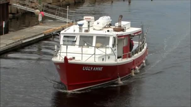 Barca da pesca ritorna in porto . — Video Stock