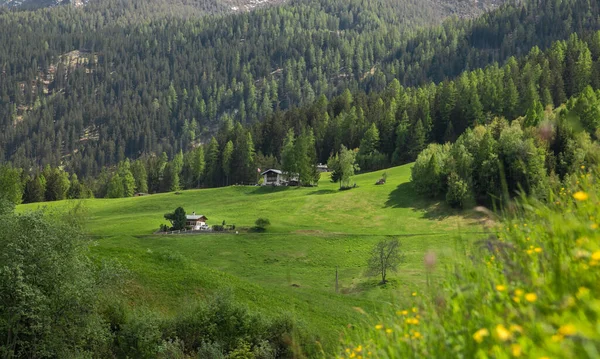 Schöne Aussicht auf das Tal inmitten der Schweizer Alpen. Sonniger Frühlingstag. Poschiavo, Kanton Graubünden. — Stockfoto