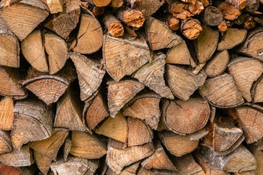 Kış hazırlığı. Odun yığıyorum. Yakacak odun yığını. Yakacak odun arka planı.