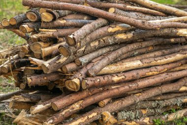Kış hazırlığı. Odun yığıyorum. Yakacak odun yığını. Yakacak odun arka planı. Yığının içinde kurumuş odun kütükleri..
