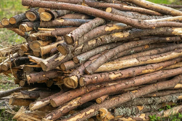 Kış hazırlığı. Odun yığıyorum. Yakacak odun yığını. Yakacak odun arka planı. Yığının içinde kurumuş odun kütükleri..