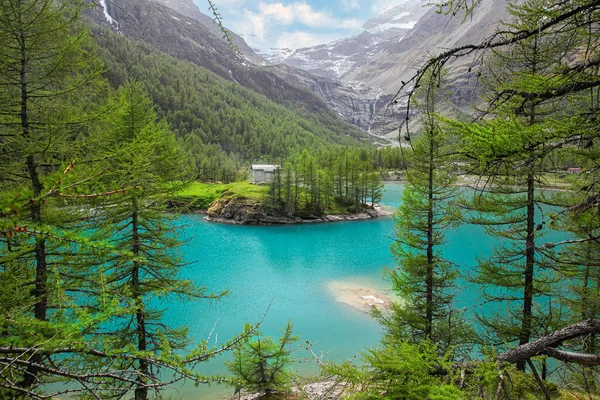 Удивительный вид на голубое озеро между Альпами. Летний день, Швейцария. Озеро Альп-Грум, Шотландия. Бернина экспресс — стоковое фото