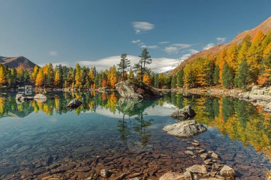 Dolomitlerdeki Saoseo Gölü 'nün sonbahar manzarası. Renkli gökyüzü, görkemli kayalık dağ ve güneş ışığıyla parlayan renkli ağaçlarla dolu fantezi sonbahar sahnesi.