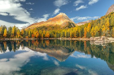Dolomitlerdeki Saoseo Gölü 'nün sonbahar manzarası. Renkli gökyüzü, görkemli kayalık dağ ve güneş ışığıyla parlayan renkli ağaçlarla dolu fantezi sonbahar sahnesi.