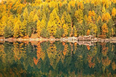 Dolomitlerdeki Saoseo Gölü 'nün sonbahar manzarası. Renkli gökyüzü, görkemli kayalık dağ ve güneş ışığıyla parlayan renkli ağaçlarla dolu fantezi sonbahar sahnesi.
