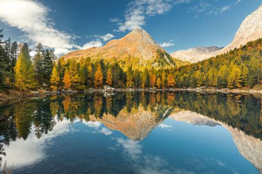 Dolomitlerdeki Saoseo Gölü 'nün sonbahar manzarası. Renkli gökyüzü, görkemli kayalık dağ ve güneş ışığıyla parlayan renkli ağaçlarla dolu fantezi sonbahar sahnesi.