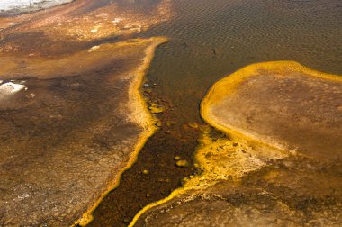 yellowstone Milli Parkı ABD'de'jeotermal havuzları