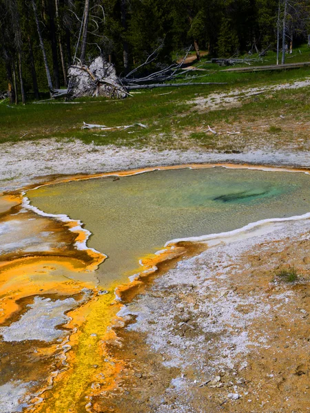 Geothermal Pools in Yellowstone National Park USA — Stock Photo, Image