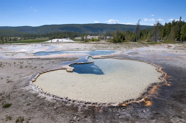 Piscinas geotérmicas en el Parque Nacional Yellowstone en los Estados Unidos — Foto de Stock