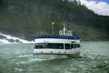 hizmetçi at nalı, gökkuşağı ve gelin peçe sis sonbahar niagara Kanada at