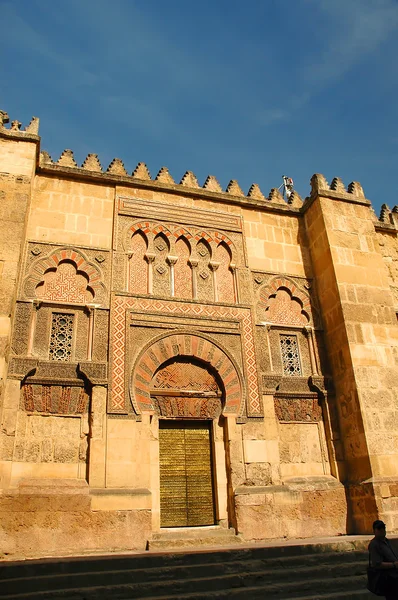 La cattedrale di Cordova, Andalusia Spagna — Foto Stock