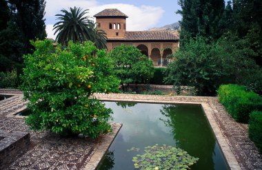 İspanya granada Elhamra Sarayı bahçeleri