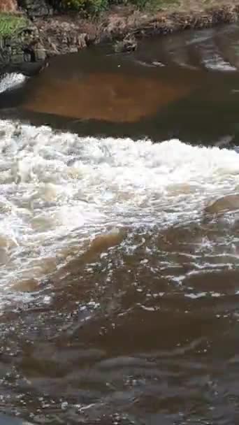 Floden Calder i höstens Spate i Padiham — Stockvideo