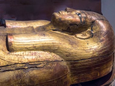 Egizio Müzesi, İtalya 'nın Piedmont kentinde bulunan ve Mısır arkeolojisi ve antropolojisi alanında uzmanlaşmış bir arkeoloji müzesidir. En büyük Mısır antika koleksiyonlarından birine ev sahipliği yapmaktadır ve 30.000 'den fazla eser içermektedir.