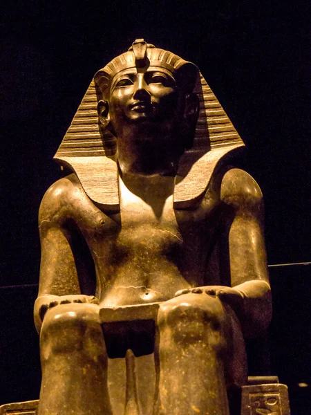 박물관 Museo Egizio 이탈리아 드몽에 이집트 고고학 인류학을 전문으로 고고학 — 스톡 사진