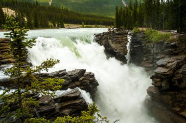 Athabasca Şelalesi Jasper Ulusal Parkı 'ndaki Athabasca Nehri' nde