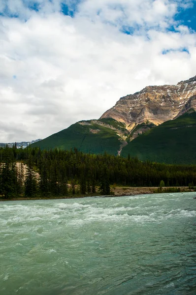 Rivière Athabasca Dans Parc National Jasper — Photo
