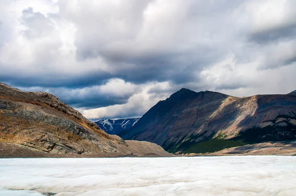 Glacier Athabasca Dans Champ Glace Columbia Jasper Canada — Photo