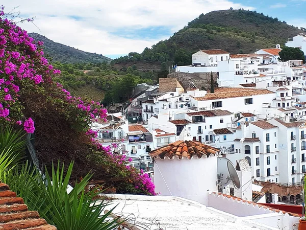 弗里吉利亚纳是西班牙南部安达卢西亚地区最美丽的白人村庄之一 位于阿尔普杰拉山区 陡峭狭窄的街道是风景如画的 爬上古城陡峭的街道是个障碍 到处都有鲜花盛开 图库图片