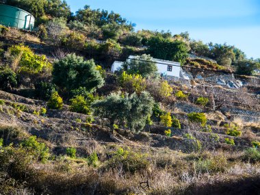Güney İspanya 'daki Costa del Sol' un Axarquia bölgesindeki Dağ Yolları. Bu dağlık bölge Kosta sahillerinin ticarileşmesinin üzerindedir. Zamanda geriye doğru adım atmak gibi ve modern villalar bile geleneksel mimari tarzdadır.