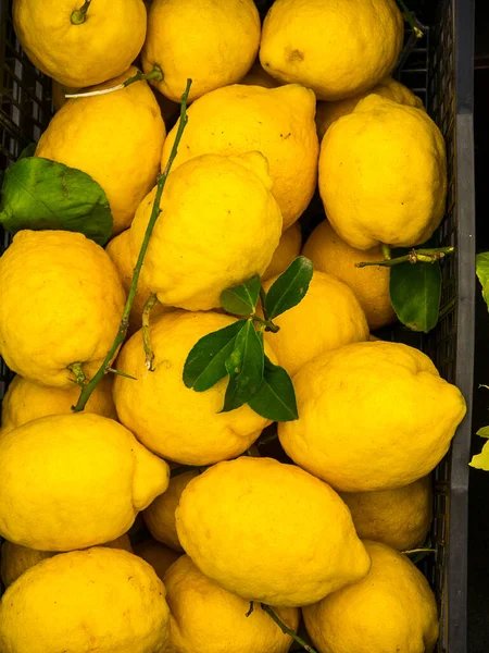 The Isle of Capri is famous for its lemons from which the liquor Lemoncello di Capri is made and exported worldwide