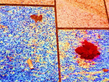 Detritus or rubbish on a pavement in Burnley Town Centre which I found rather beautiful 