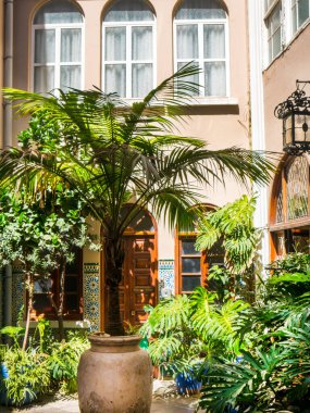 Aziz Mary katedralindeki küçük bahçe alanı Cebelitarık 'ta taç giydi.