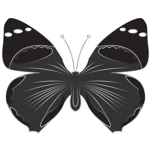 Mariposa sobre un fondo blanco — Vector de stock