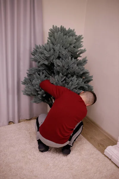 Hombre Suéter Establece Hermoso Árbol Año Nuevo Artificial Verde Abeto — Foto de Stock