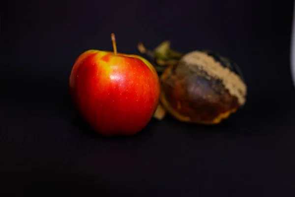 Marmelo Podre Maçã Fresca Superfície Preta Tornou Impróprio Para Consumo — Fotografia de Stock