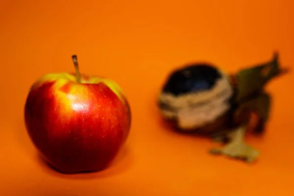 腐烂的鹌鹑和鲜红的苹果在橙色表面 它已不适合人类消费 关于年轻和老年 内在美 疾病的概念性照片 Dorian Grey — 图库照片