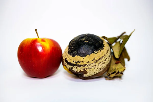 鲜红的苹果和腐烂的鹌鹑在白色的表面 它已不适合人类消费 关于年轻和老年 内在美 疾病的概念性照片 Dorian Grey — 图库照片