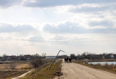 Barmashovo, Ukrayna - 18 Mart 2022: Rusya Ukrayna 'ya karşı savaş. İstila kavramı. Nehir yolundaki insanlar savaştan sonra elektrik kablolarını, elektrik direklerini ve elektrik direklerini tahrip ettiler.