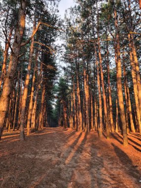 Nehrin üzerinde güzel bir gün batımı