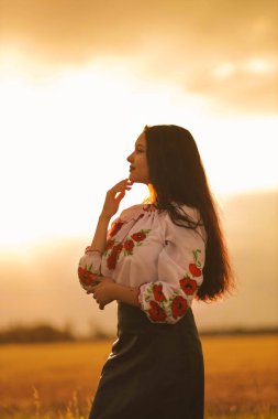 Genç kız gün batımı sarı ışıkta Ukrayna ulusal etnik işlemeli gömleğini giyerek buğday tarlasında duruyor. Ukrayna 'nın Bağımsızlığı kavramı ve savaşı durdurmak. Kelimesi kelimesine barışı düşlüyorum.