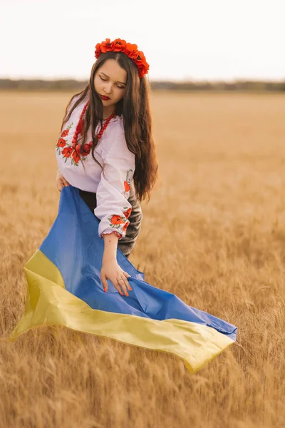 Young Girl Touches Flag Wheat Field Wearing Ukrainian National Embroidered — Stockfoto