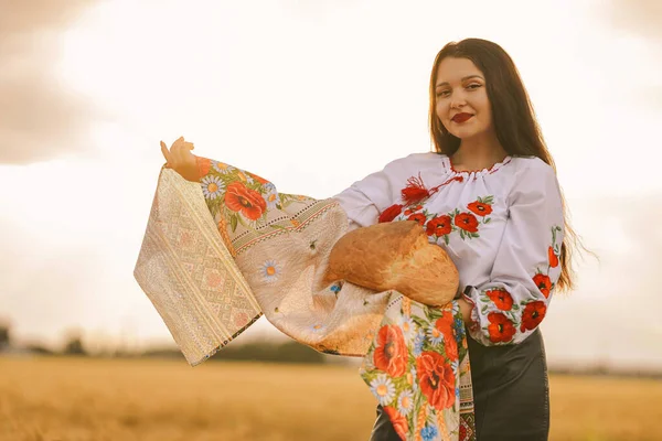 Молодая Девушка Стоит Пшеничном Поле Украинской Национальной Вышитой Рубашке Держит — стоковое фото