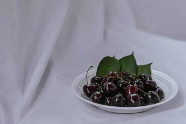 Fresh Ripe Dark Black Huge Sweet Cherries Leaves Water Drops — стоковое фото