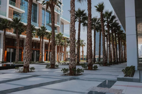 现代金融中心在春季的天气 外面的街景迪拜著名的建筑 棕榈树 — 图库照片