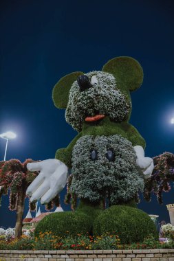 Dubai mucize bahçesi, gece ışığında 45 milyondan fazla çiçek, Birleşik Arap Emirlikleri. Miki Fare heykellerinin yeşillikten yapılma Disney hikayesi. Dünyanın en büyük doğal çiçek bahçesi.
