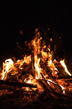 Turuncu alevler, şenlik ateşi ve nehir kıyısında geceleyin ormandaki kıvılcımlar. Kömürleşmiş ağaç dalları. Yakacak odun yakıyor. Büyük parlak bir alev. Güzel yakın plan, seçici odak