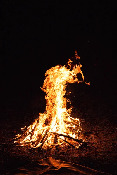 オレンジ色の炎 残りは川沿いの夜に森林の輝きでたき火をします 果樹の枝をチャーター 薪を燃やして 大きな明るい炎 美しいクローズアップ背景 選択的フォーカス — ストック写真