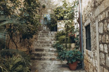 Dubrovnik, Hırvatistan - 21 Eylül 2021: Eski ortaçağ kasabasında yeşillik bulunan dar karanlık sokak, UNESCO Dünya Mirası Listesi 'ne eklendi. Kralın Şehri, Yedi Krallık 'ın başkenti Game of Thrones' da