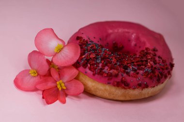 Pembe buzlu çörek ve renkli serpinti, haşhaş tohumu ve pembe arka planda yenilebilir begonya çiçekli ahududu. Lezzetli, yağlı, yüksek kalorili tatlı yiyecekler. Seçici Odaklanma