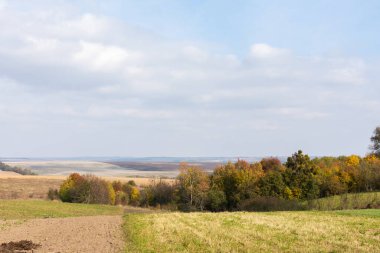 Toplanan tarlalar ve orman kuşağıyla sonbahar manzarası