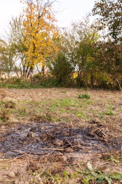 Bahçede sonbahar çalışmaları