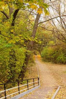 Sonbaharda şehir parkında yürüyüş